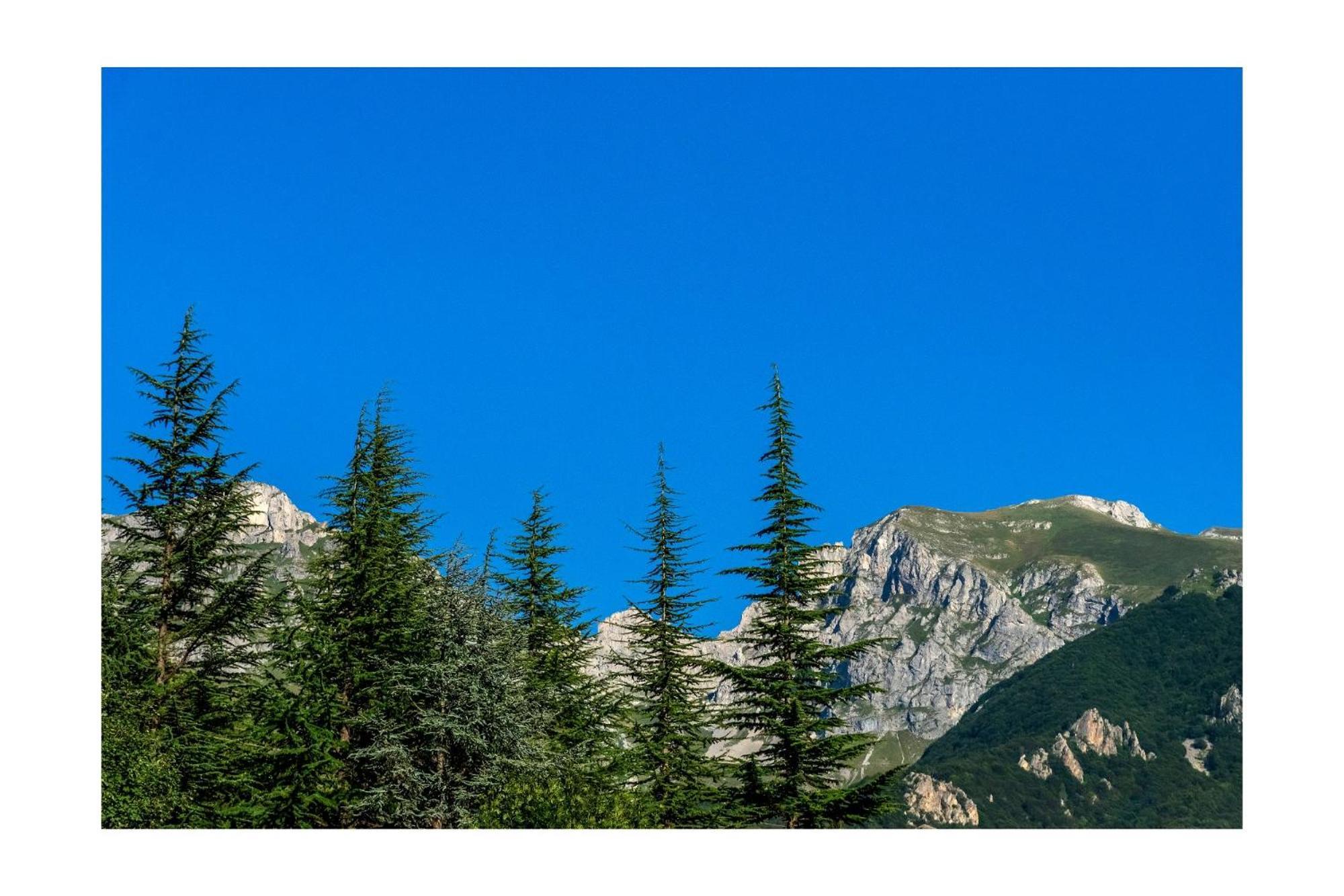 Chalet Bragard Limone Piemonte Exterior foto